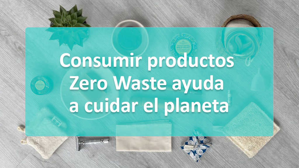 Todo sobre las Suculentas